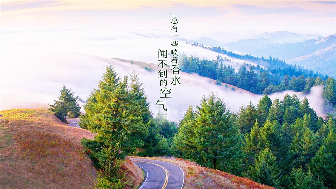 网红商城